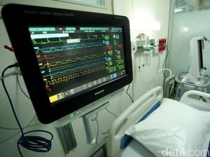 Begini Kondisi Rafa Bocah Digigit Ular Weling Usai Disuntik 33 Vial Antivenom Begini Kondisi Rafa Bocah Digigit Ular Weling Usai Disuntik 33 Vial Antivenom