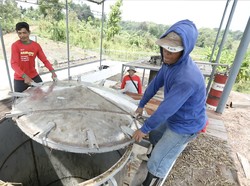 Intip Proses Pembuatan Minyak Kayu Putih di Wonoharjo, Boyolali