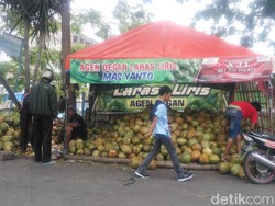 Kelapa Muda Dipercaya Baik untuk Jaga Imunitas, Omzet Pedagang Naik