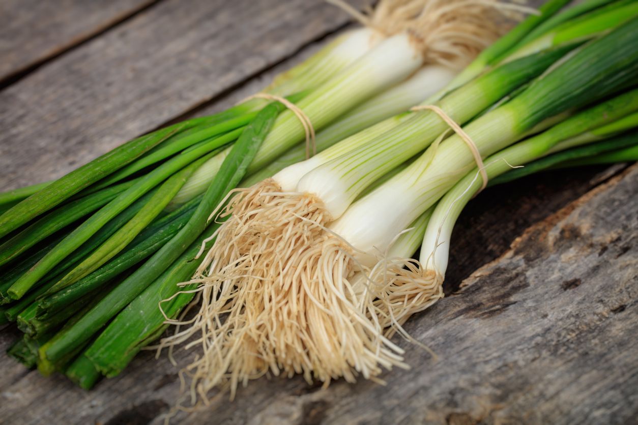 Tips Menanam Daun Bawang dalam Pot, Cukup di Pekarangan Rumah