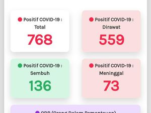 Update Corona di Jateng 2 Mei: 768 Positif, 136 Sembuh dan 73 Meninggal