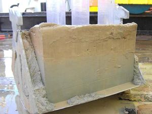 Ilmuwan Temukan Tumpukan Sampah Mikroplastik Dasar Laut Terbesar di Dunia