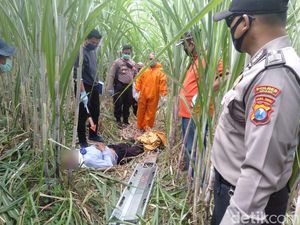Warga Ngawi Meninggal di Lahan Tebu, Tim Medis Evakuasi dengan Berbaju APD Warga Ngawi Meninggal di Lahan Tebu, Tim Medis Evakuasi dengan Berbaju APD