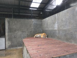 Akibat Corona, Wisata Lembang Hanya Tahan 2 Bulan Lagi