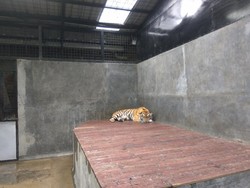 Akibat Corona, Wisata Lembang Hanya Tahan 2 Bulan Lagi