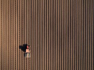 Cantiknya Perkebunan Inggris