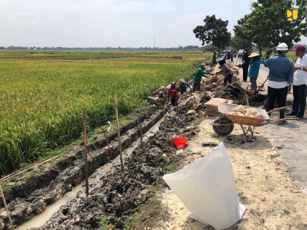 Catat! Pemerintah Janji Buka 2,8 Juta Lapangan Kerja Catat! Pemerintah Janji Buka 2,8 Juta Lapangan Kerja