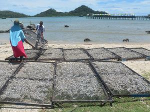 Pak Jokowi, Petani Juga Minta Dapat Subsidi dari Pemerintah Pak Jokowi, Petani Juga Minta Dapat Subsidi dari Pemerintah