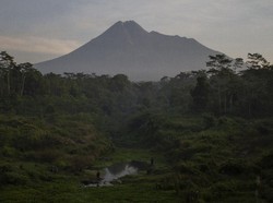 BPPTKG: Intensitas Kegempaan Gunung Merapi Meningkat