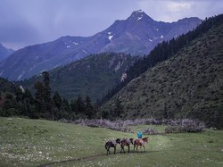 Tibet Perlahan Buka Tempat Wisata