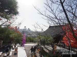 Kuil Cantik Lain Jepang Berpemandangan Kota Kobe