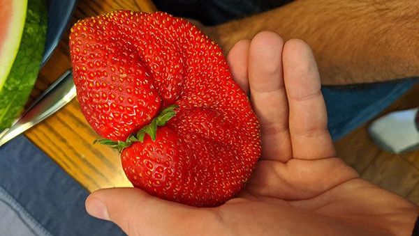 Akibat Belanja Online, Orang-orang ini Dapat Ukuran Tak Biasa