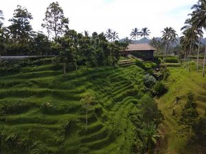 Rindu Hijaunya Suasana Secret Garden Village Bali