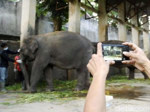 Wali Kota Solo Bolehkan TSTJ dan Taman Balekambang Buka, Begini Kondisinya
