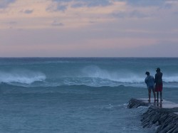 Tolak Karantina Saat Bulan Madu ke Hawaii, Pasangan Ini Terancam Dihukum