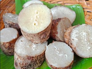Gembili hingga Mbothe, 5 Umbi Indonesia yang Enak Bernutrisi Gembili hingga Mbothe, 5 Umbi Indonesia yang Enak Bernutrisi