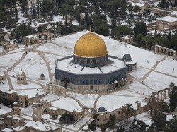 Sejarah Dukungan Indonesia untuk Palestina Raih Kemerdekaan dari Israel