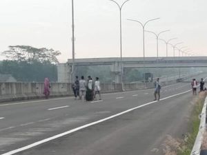 Ternyata, Ini Sebab Bocah-bocah Bisa Asyik Main di Tol Pemalang-Batang Ternyata, Ini Sebab Bocah-bocah Bisa Asyik Main di Tol Pemalang-Batang