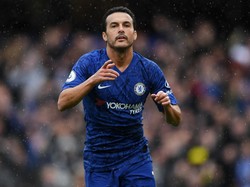 Terima Kasih, Pedro!