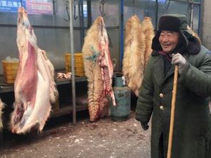 Pembatasan Pasar Hewan di China Dikhawatirkan Tingkatkan Perdagangan Gelap