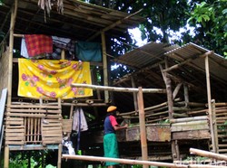 Kisah Ujun, Warga Sukabumi yang Tinggal Seatap dengan Kambing