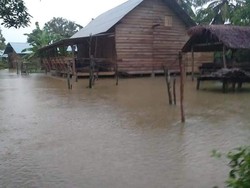 Video Ribuan Rumah di Mentawai Sumbar Terendam Banjir