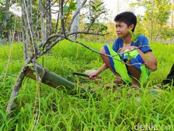 Sensasi Dentuman Meriam Bambu