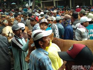 Abaikan Protap Kesehatan Corona, Pasar Hewan di Kota Probolinggo Ini Ditutup