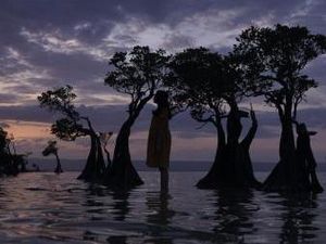 Jatuh Cinta Pada Pandangan Pertama kepada Tanah Humba