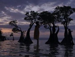 Jatuh Cinta Pada Pandangan Pertama kepada Tanah Humba