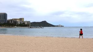 Foto: Sepinya Hawaii Saat Sedang Menutup Diri