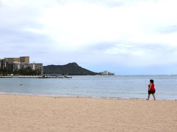 Foto: Sepinya Hawaii Saat Sedang Menutup Diri