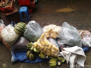 Warga Mulai Kirim Bantuan Pakan untuk Satwa Bandung Zoo