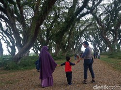 Bagaimana Pariwisata Banyuwangi di Era New Normal Usai Pandemi Corona?