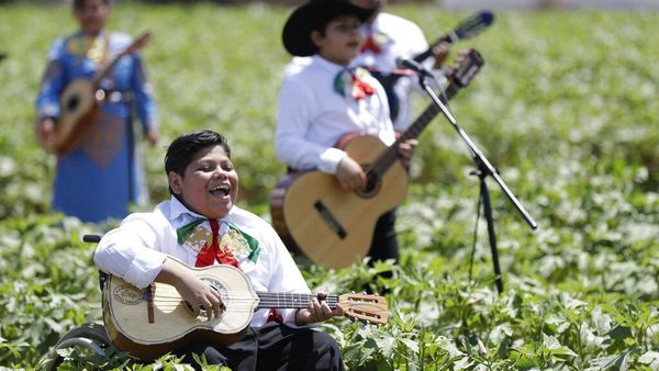 Grup Musik Ini Hibur dan Apresiasi Petani Kala Pandemi