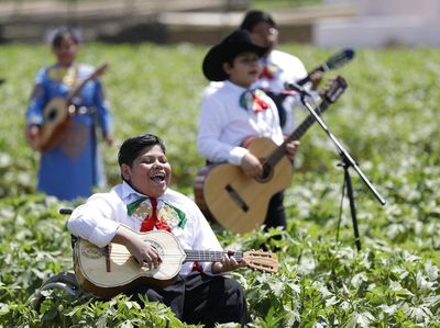 Grup Musik Ini Hibur dan Apresiasi Petani Kala Pandemi