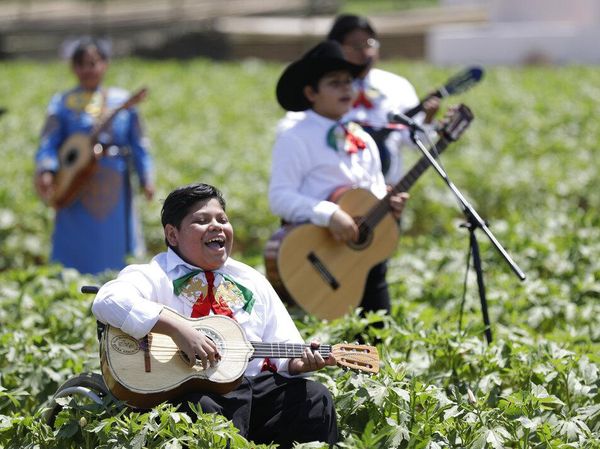 Grup Musik Ini Hibur dan Apresiasi Petani Kala Pandemi