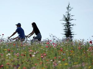 Warga Italia Nikmati Bersepeda usai Lockdown Dilonggarkan
