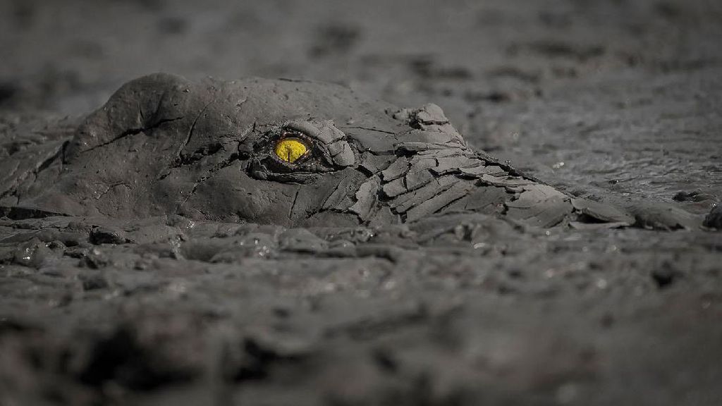 Jawara Kontes Foto Alam yang Bikin Takjub Jawara Kontes Foto Alam yang Bikin Takjub