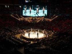 Mengenal 10 Gerakan Terlarang di UFC