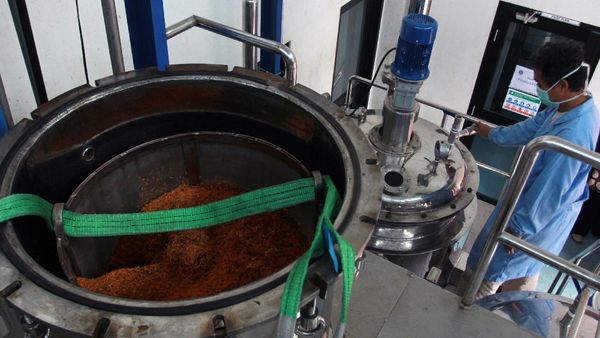 LIPI Kembangkan Obat Herbal untuk COVID-19