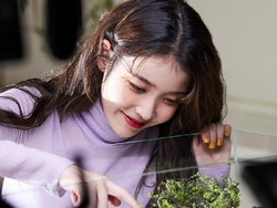 IU Donasikan Rp 1,2 M sebagai Perayaan Ulang Tahun Debut ke-12