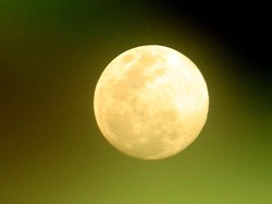 Ada Purnama Flower Moon di Mei 2025, Catat Waktu Terjadinya!