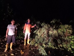 Longsor Terjadi di Kaur Bengkulu, Akses ke Sumsel Terputus