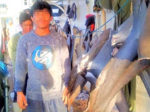 Kerjasama Interpol Dinilai Perlu untuk Selidiki Kasus Pelarungan ABK WNI Kerjasama Interpol Dinilai Perlu untuk Selidiki Kasus Pelarungan ABK WNI