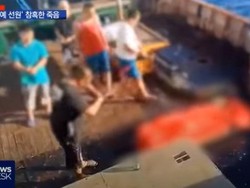 Nasib Perbudakan Pekerja Indonesia di Kapal Penangkapan Ikan Milik China