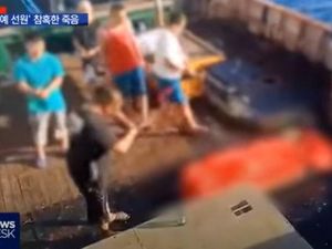Nasib Perbudakan Pekerja Indonesia di Kapal Penangkapan Ikan Milik China Nasib Perbudakan Pekerja Indonesia di Kapal Penangkapan Ikan Milik China