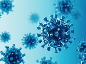 Kemenkes Pastikan COVID-19 Varian XE, XD, dan XF Belum Terdeteksi di RI Kemenkes Pastikan COVID-19 Varian XE, XD, dan XF Belum Terdeteksi di RI