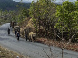 Manakah Negara di Asia Tenggara yang Memiliki Iklim Tropis dan Subtropis? Ini Jawabannya