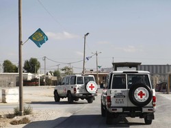 35 Twibbon dan Quotes Hari Palang Merah Internasional 2024